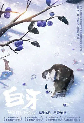 观音南2020